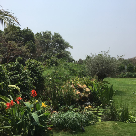 29872525_10213646895743844_9073943565526983016_o