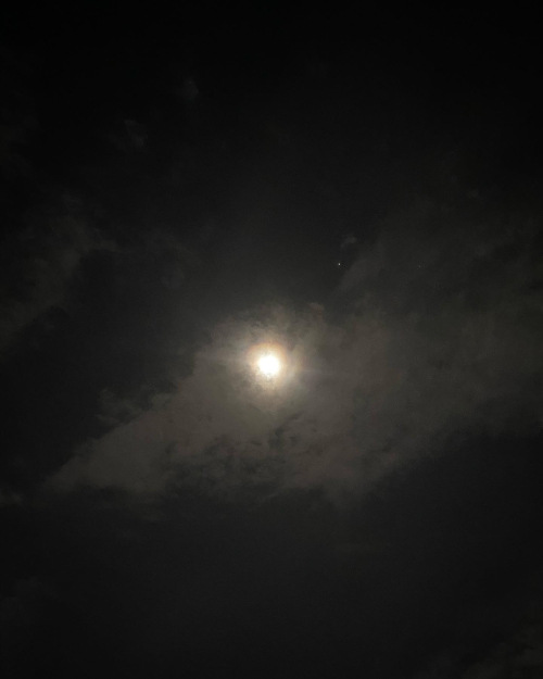 311257738_10225752406214040_3882938835390924612_n